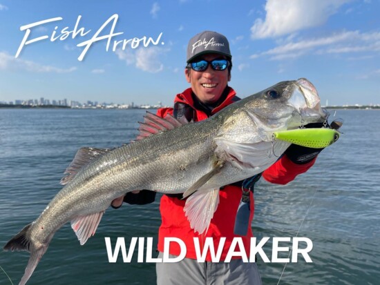 ワイルドウェイカーで83cmのランカーシーバス | フィッシュアロー公式