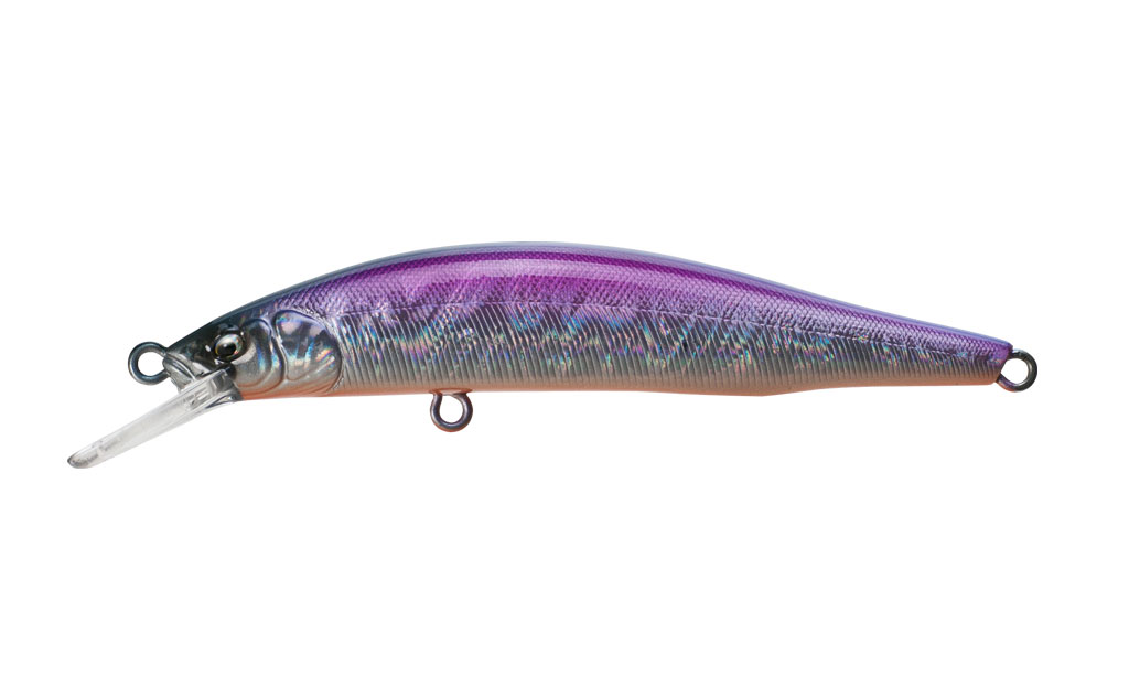 スリーショット」販売開始！ - Fish Arrow