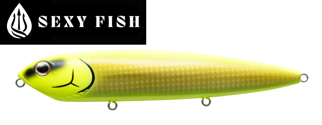 #10  ｾｸｼｰｺﾞｰﾙﾄﾞ