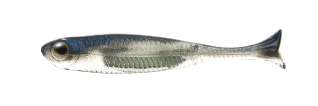 #105  ﾏｲﾜｼ/ｼﾙﾊﾞｰ