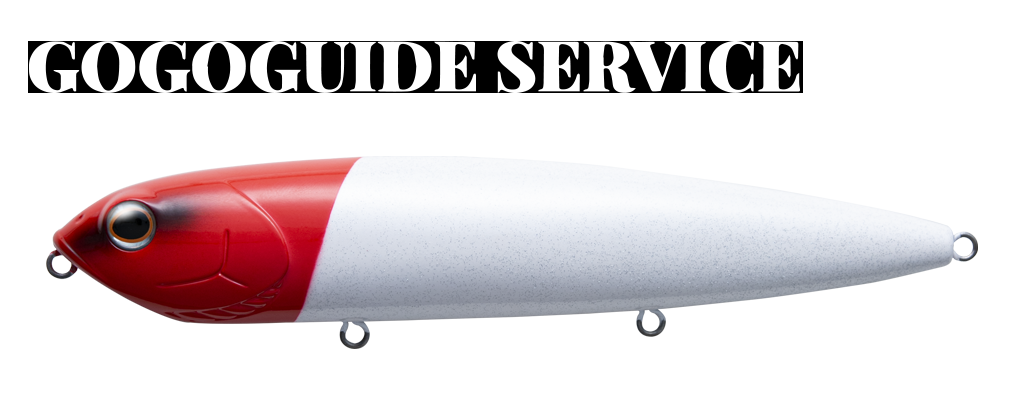 #09  ｺﾞｰｺﾞｰﾚｯﾄﾞﾍｯﾄﾞ