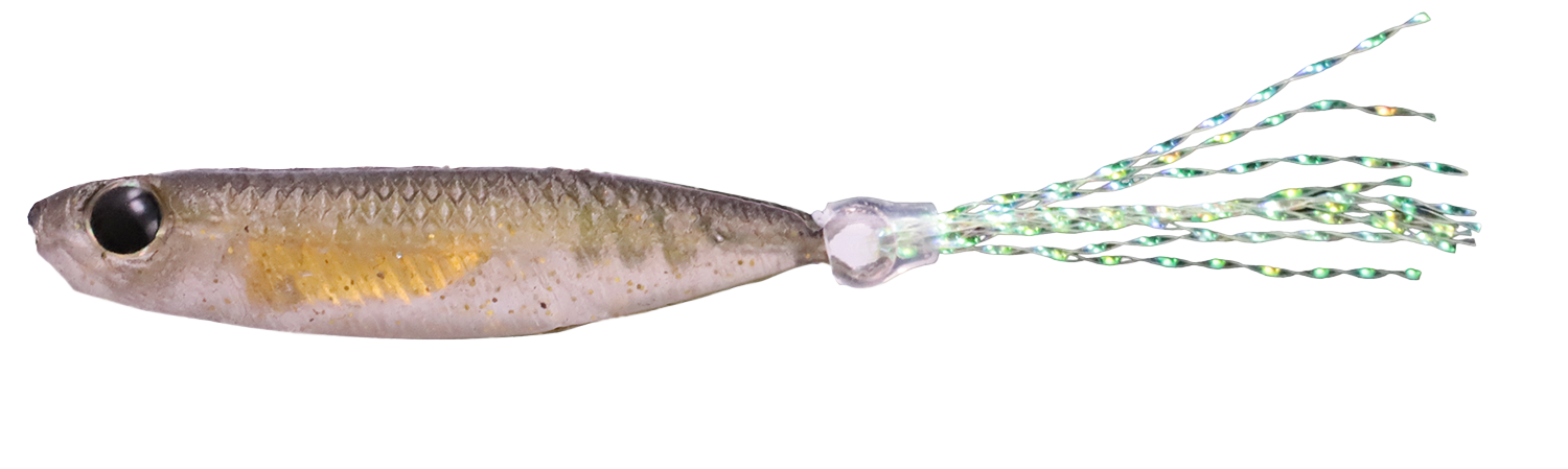 ＃8	コサンアユ/ ゴールド 