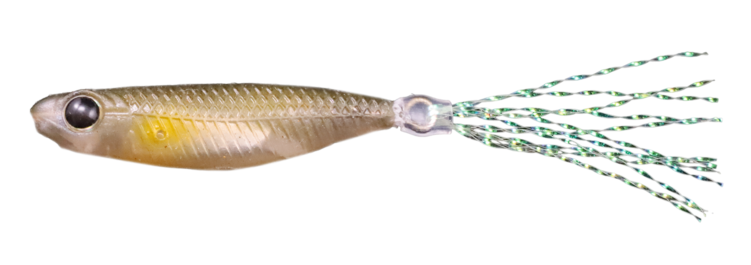 ＃9	ライブアユ/ シルバー