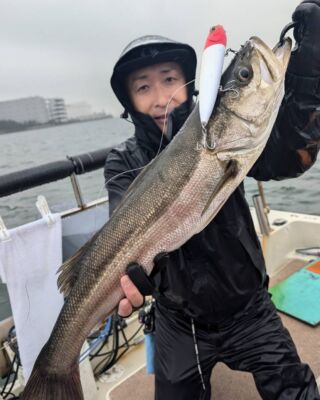 フィッシュアロー Fish Arrow フィッシュアロー｜公式webサイト